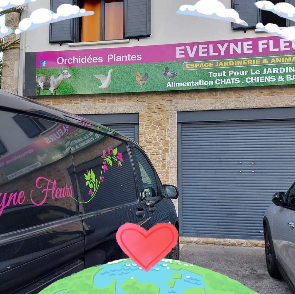 Evelyne Fleurs SAINT-ANDRE - boutique
